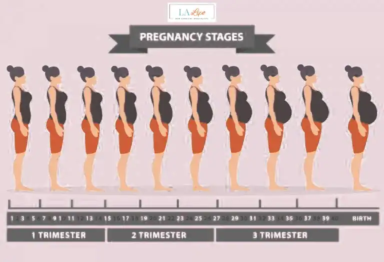 First Trimester (Weeks 1–12): Early Changes You Might Not Notice Brentwood